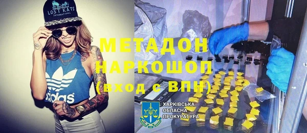 прущие грибы Гатчина