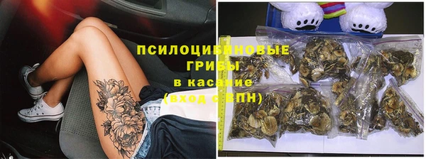 амф Абинск