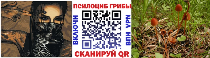 Галлюциногенные грибы GOLDEN TEACHER  Кириллов 